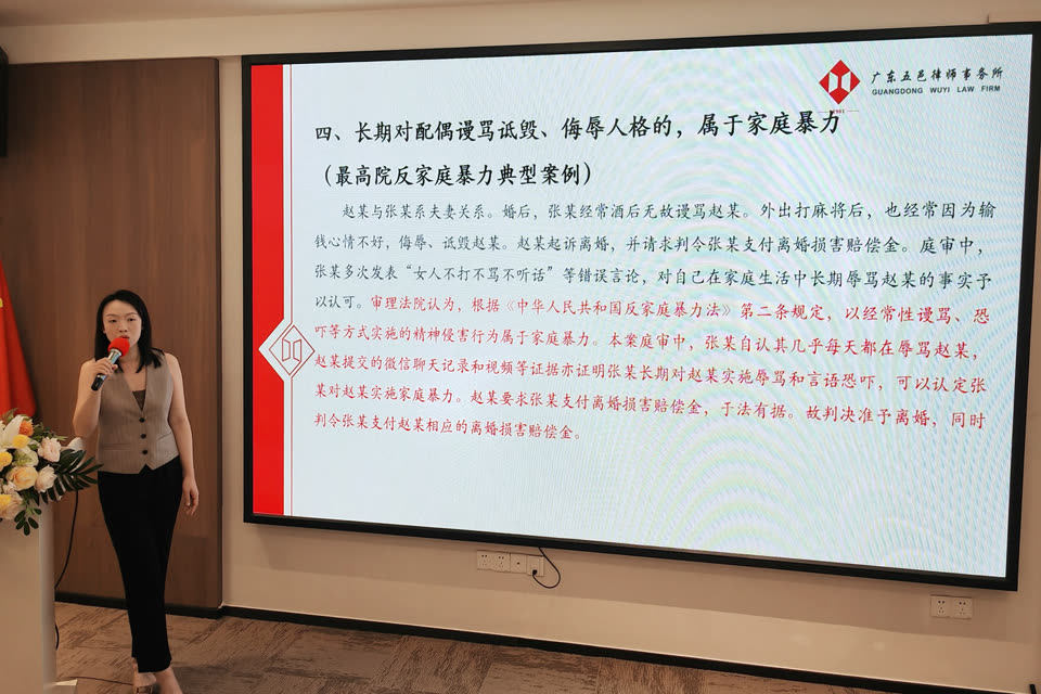 蔡莉雅律师主讲反家庭暴力典型案例内训